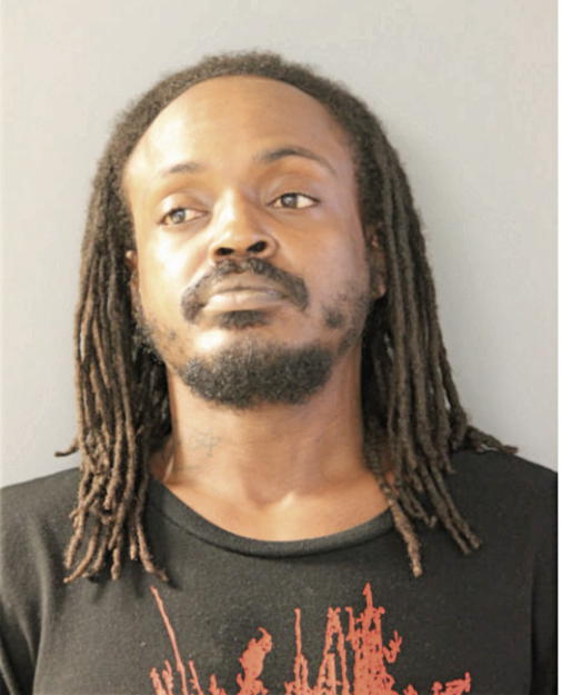 MICHAEL L ROBINSON, Cook County, Illinois