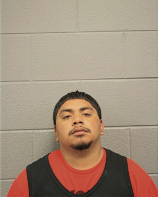 ALFREDO J ROMAN, Cook County, Illinois