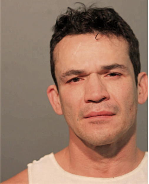 RAFAEL ROSARIO, Cook County, Illinois