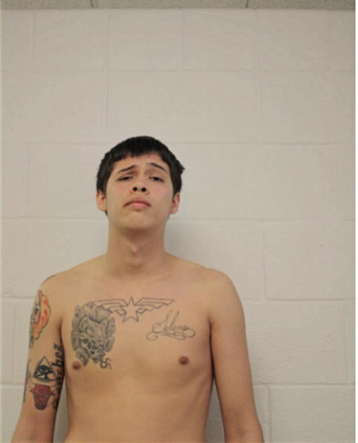 SAMUEL A SANCHEZ, Cook County, Illinois