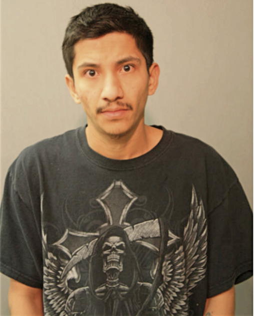 ANDRES SOTELO, Cook County, Illinois