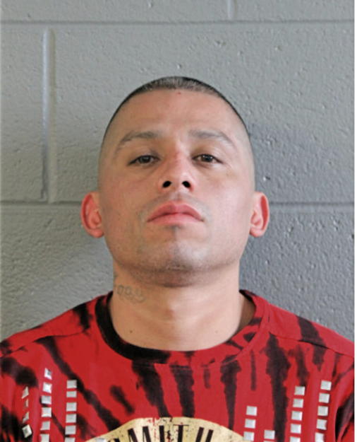LUIS TORRES, Cook County, Illinois