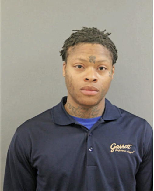 RANDALL M WILLIAMS, Cook County, Illinois