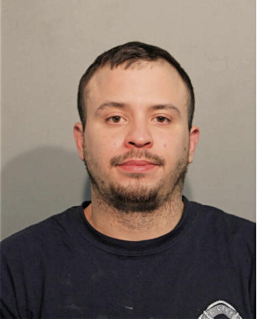 GEORGE A VILLEGAS, Cook County, Illinois