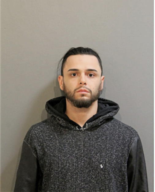 ANDREW M BERMEJO, Cook County, Illinois