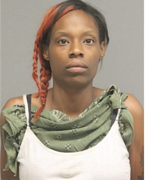 CAMIKA CRAIG, Cook County, Illinois