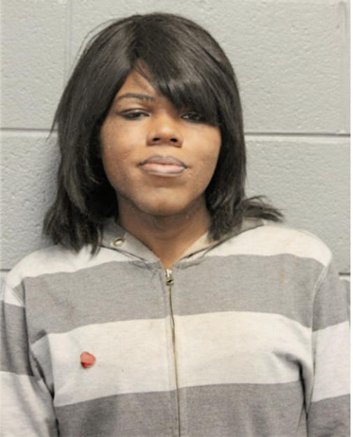 TERRELL A EVANS, Cook County, Illinois