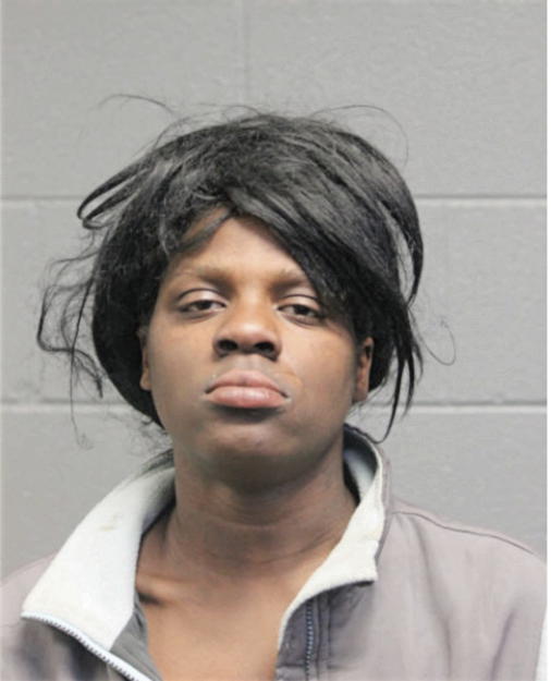 BRIANA P FERGUSON, Cook County, Illinois
