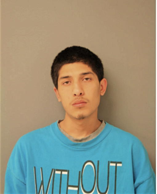 LUIS E GUILLEN, Cook County, Illinois