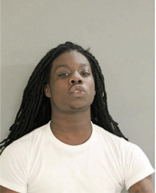 FREDERICK T HAYES, Cook County, Illinois