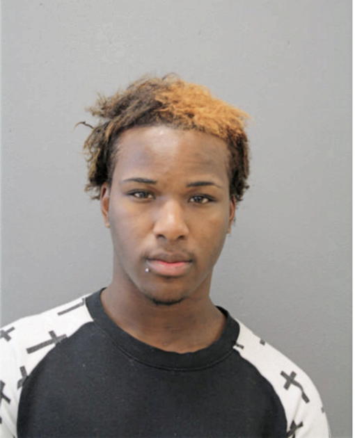 CHRISTIAN L JOHNSON, Cook County, Illinois