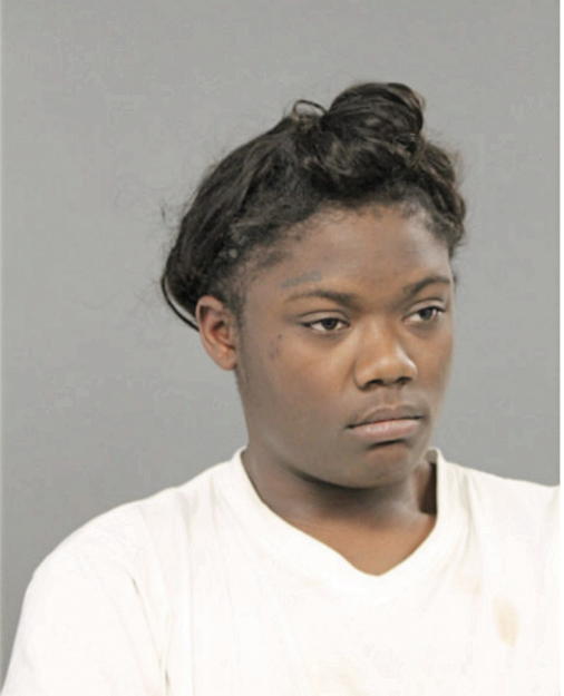 ERNISHA R JOHNSON, Cook County, Illinois