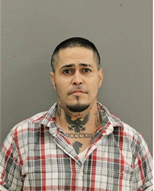 DAVID MATA, Cook County, Illinois