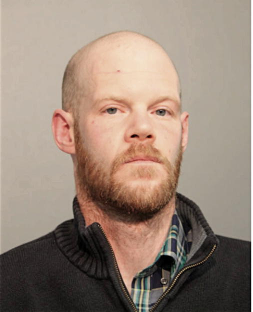 MICHAEL C PIERSON, Cook County, Illinois