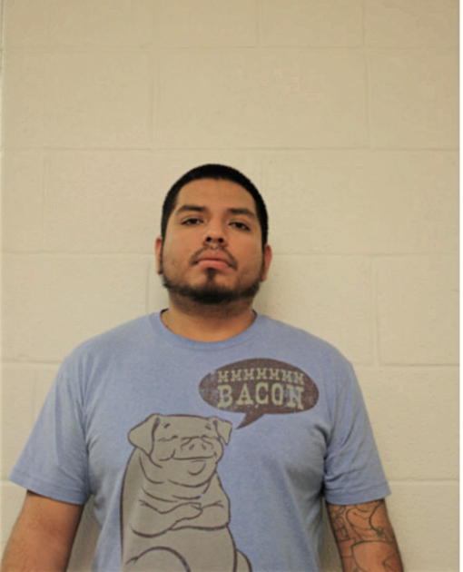 BRIAN RAMIREZ ROJAS, Cook County, Illinois
