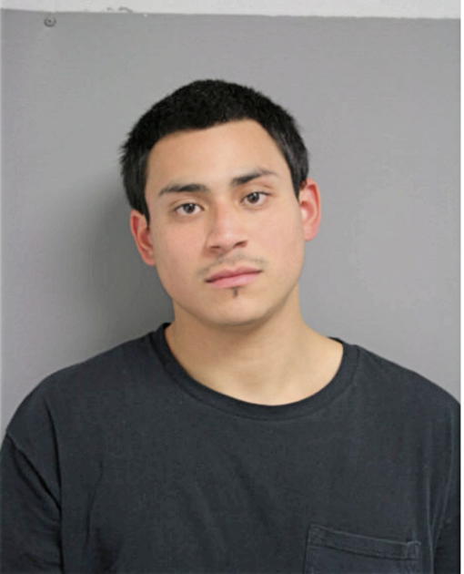 CHRISTIAN V SANCHEZ, Cook County, Illinois