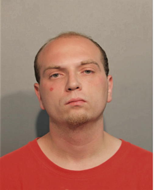FERDINAND R SPOREA, Cook County, Illinois