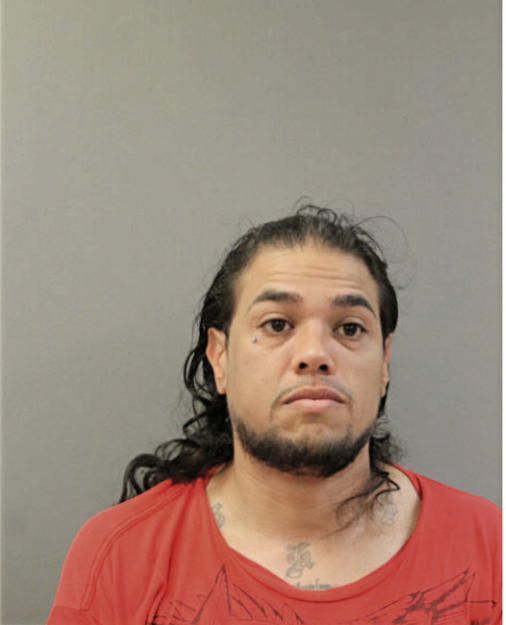 ENRIQUE J BORJON, Cook County, Illinois