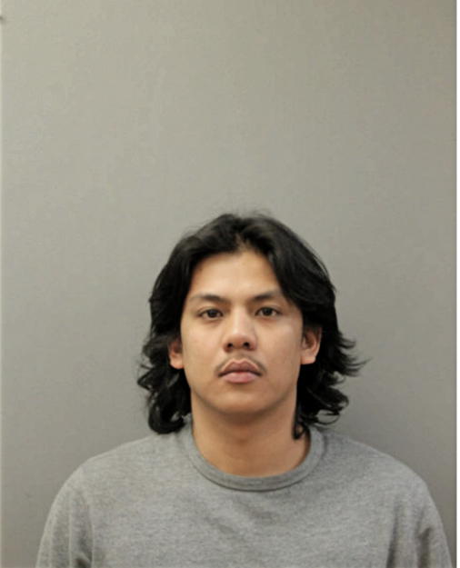 MARLON V CARREON, Cook County, Illinois