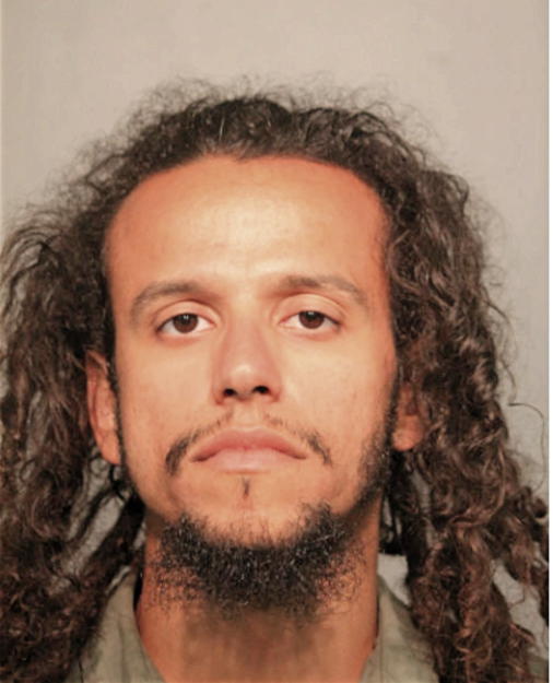 ANDREW DEJESUS, Cook County, Illinois