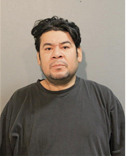 DAVID J GARCIA, Cook County, Illinois
