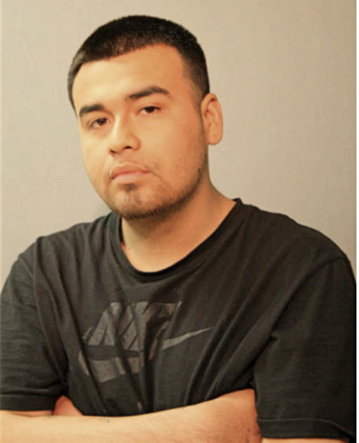 CHRISTIAN GONZALEZ, Cook County, Illinois