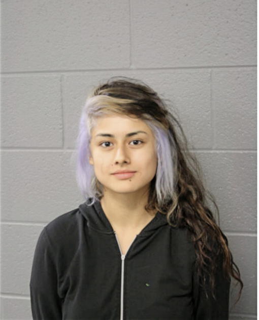 MICHELLE HERNANDEZ, Cook County, Illinois