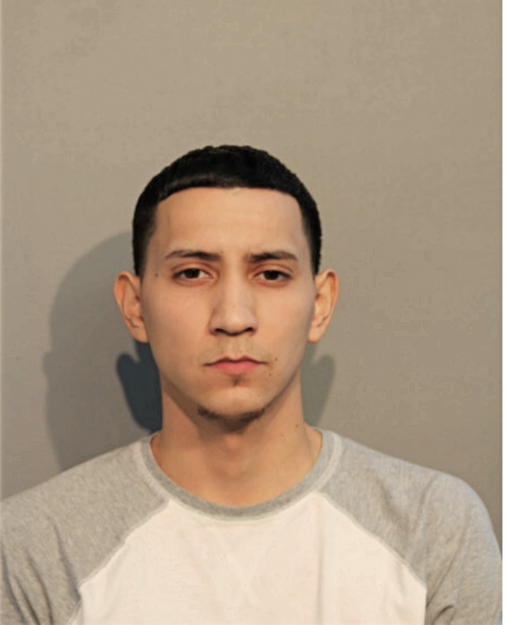 BRANDON O HUIZAR, Cook County, Illinois