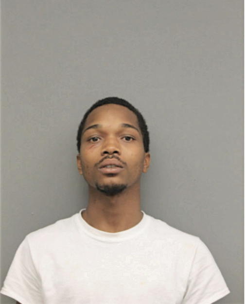 MARCUS N JOHNSON, Cook County, Illinois