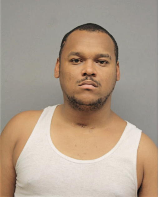 MARK A JOHNSON, Cook County, Illinois