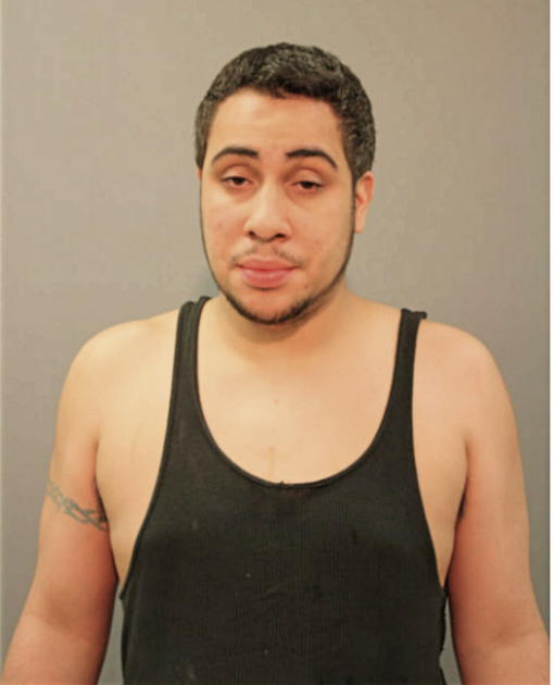 ROBERT J LOMBARDI, Cook County, Illinois