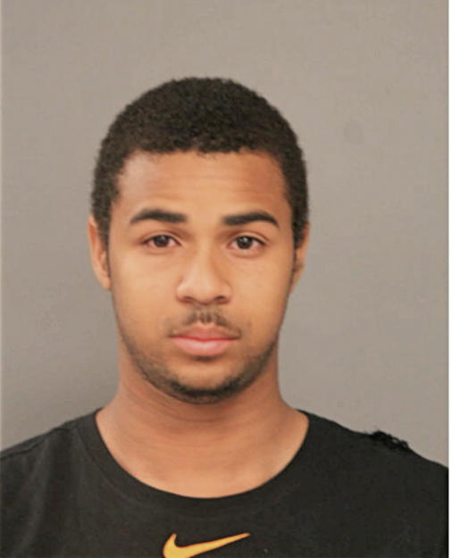 MICHAEL L MAEBANE, Cook County, Illinois