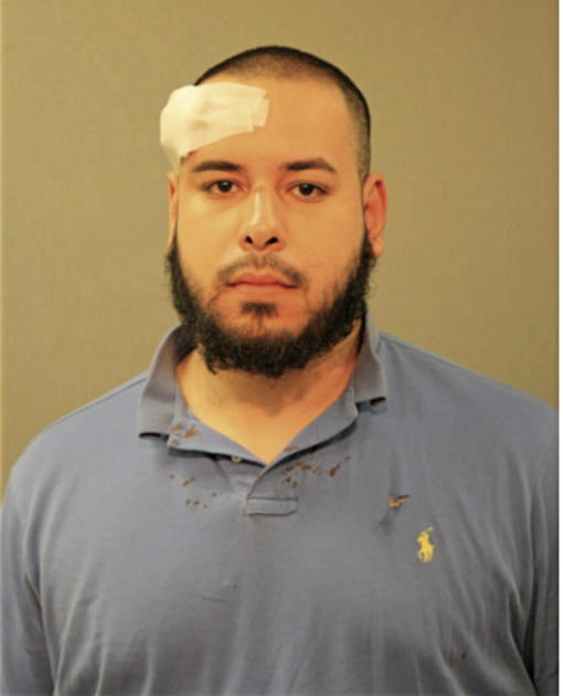 ARMANDO MEDINA, Cook County, Illinois