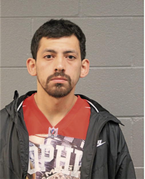 JOSEPH MEGAREJO, Cook County, Illinois
