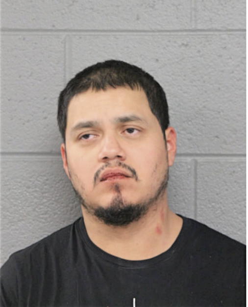 LUIS G MOYA, Cook County, Illinois