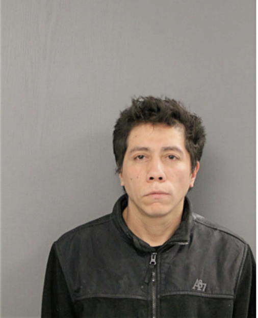 MARIO A REYES, Cook County, Illinois