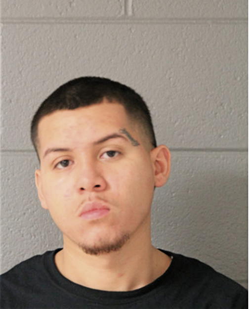 JOSHUA A SALINAS, Cook County, Illinois