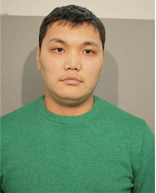 IZAT SHARSHEBAEV, Cook County, Illinois