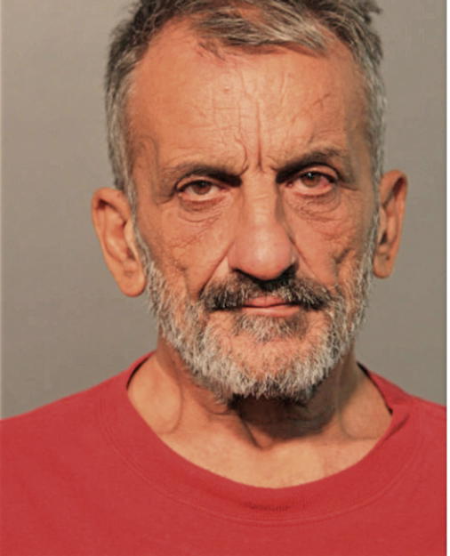 BAJRAM SKENDERI, Cook County, Illinois