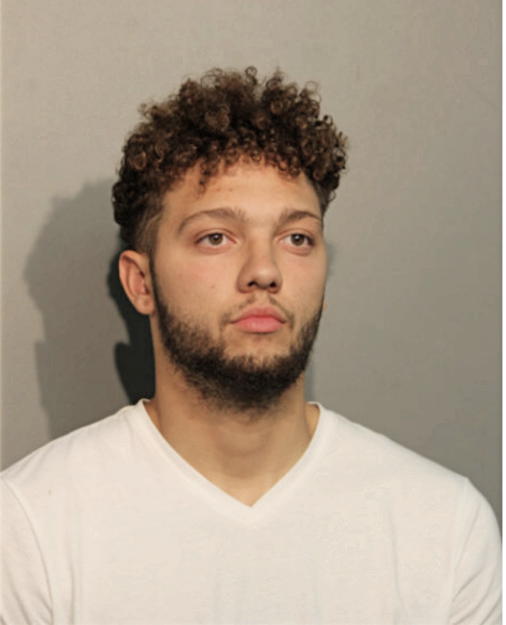 CLAYTON W VAUGHN, Cook County, Illinois