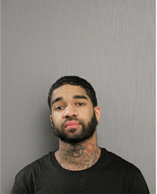 TREVEN VAUGHN PALMER, Cook County, Illinois