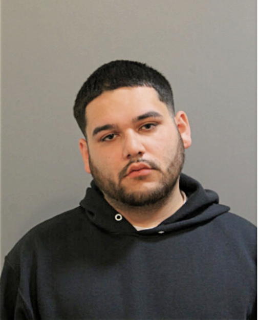 ANTONIO A VILLARREAL, Cook County, Illinois