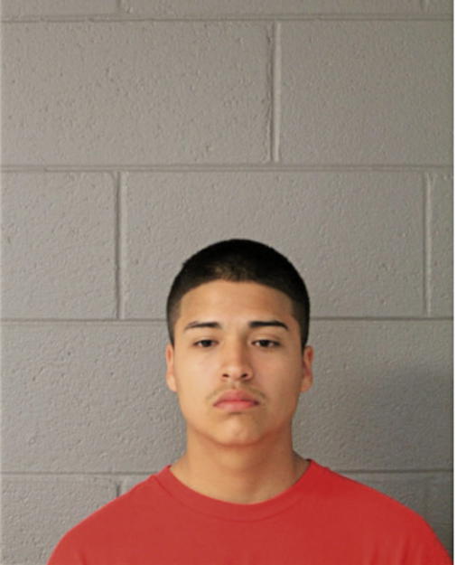 JAMES WILLIAMS, Cook County, Illinois