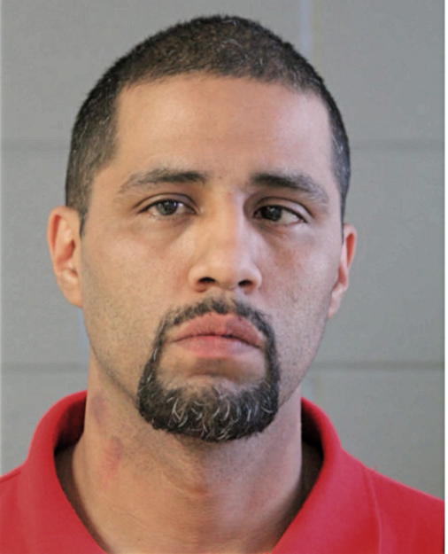 CARLOS E ALFARO, Cook County, Illinois