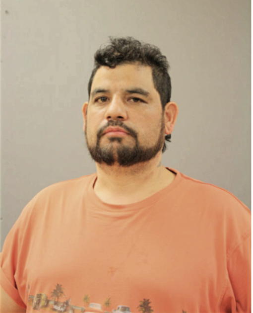 RAUL ANDRADE, Cook County, Illinois