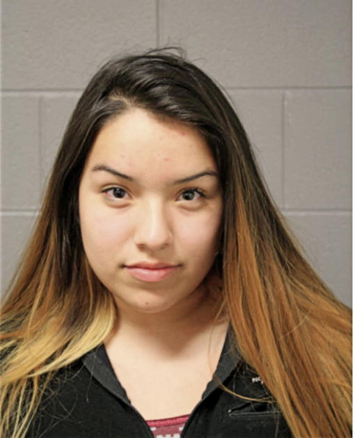 KRYSTAL ARGUETA, Cook County, Illinois