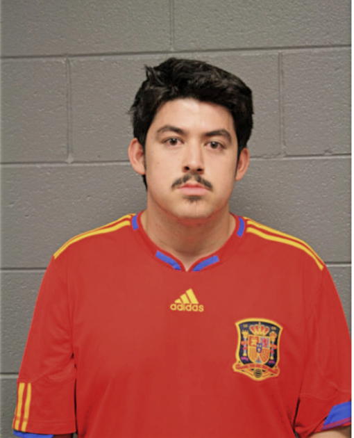 MANUEL AVALOS, Cook County, Illinois