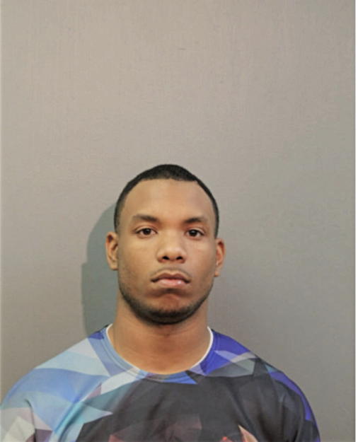 DEMICHAEL D BROWN, Cook County, Illinois