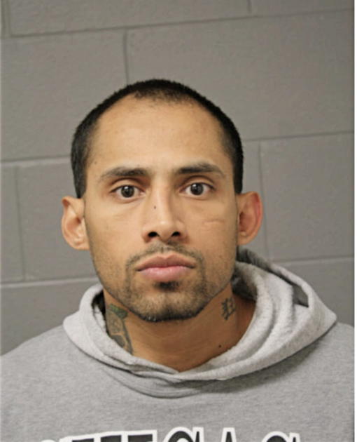 LUIS J CASTRO, Cook County, Illinois