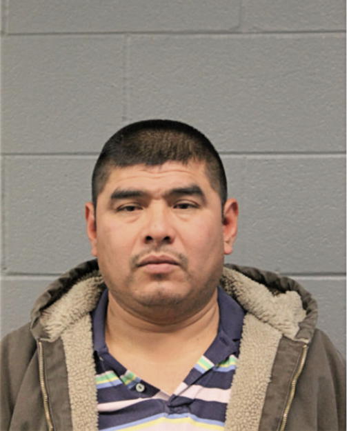 ENEDINO CORTES-TAJONAR, Cook County, Illinois